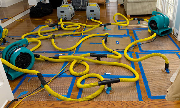 Professional Water Extraction technician working in Coats, NC